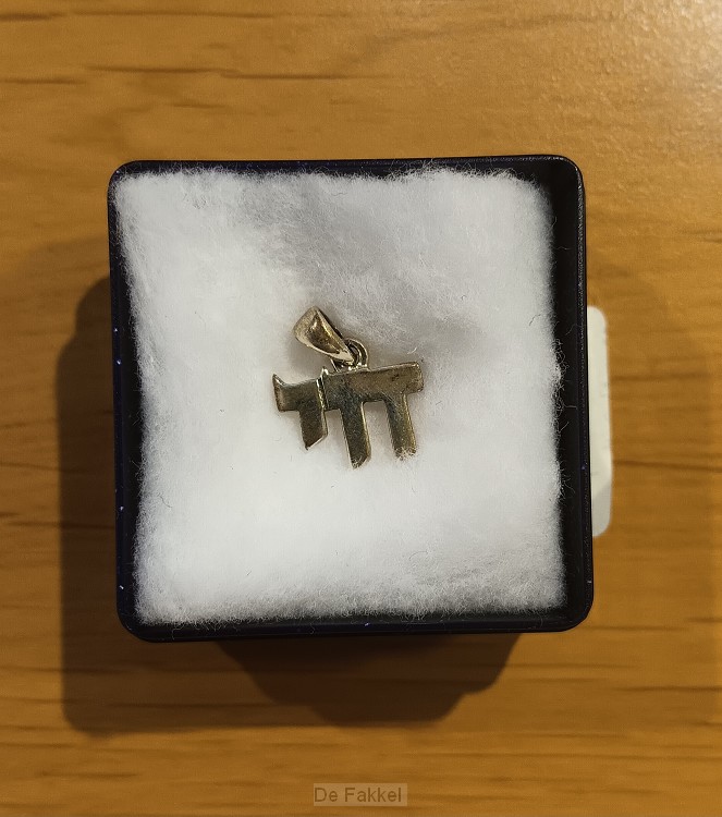 Zilveren hanger chai