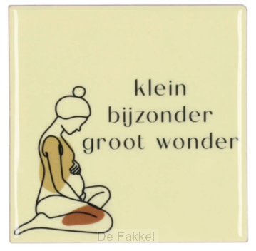 Tegel Klein bijzonder groot wonder