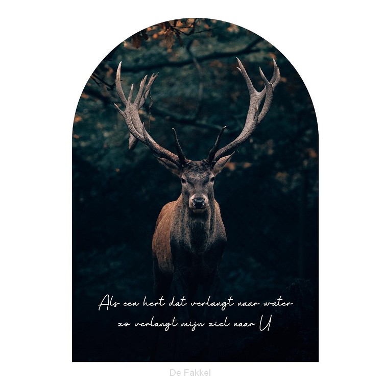 Als een hert dat verlangt naar water