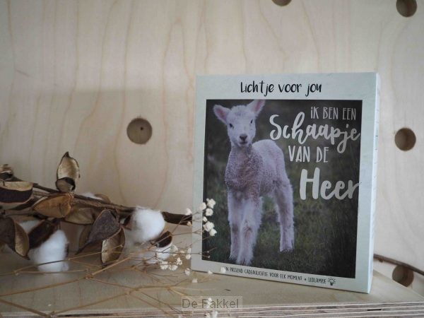 Lichtje voor jou: Ik ben een schaapje va