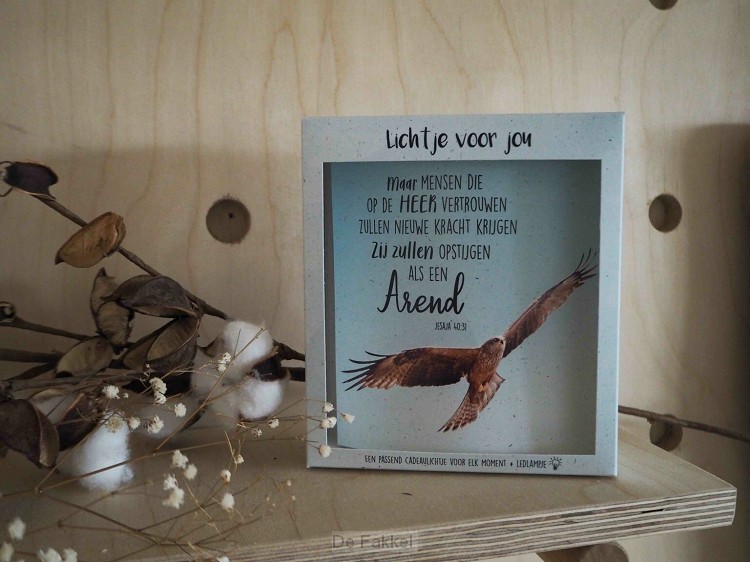 Jes 40 Zij zullen opstijgen