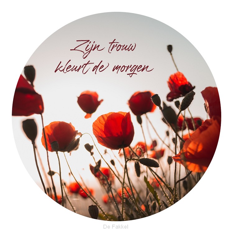 Muurcirkel 25 cm, Zijn trouw kleurt