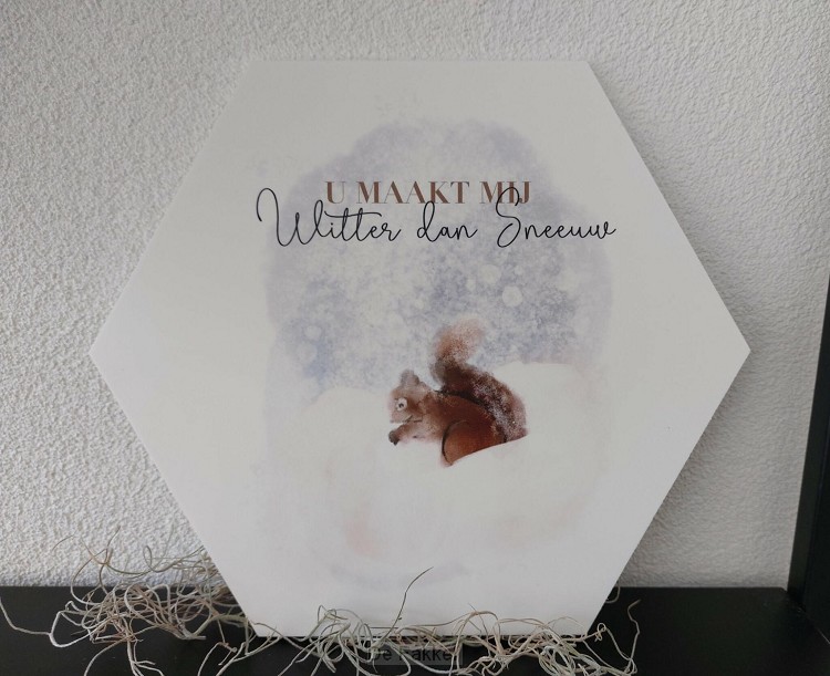 Muurcirkel Honingraat