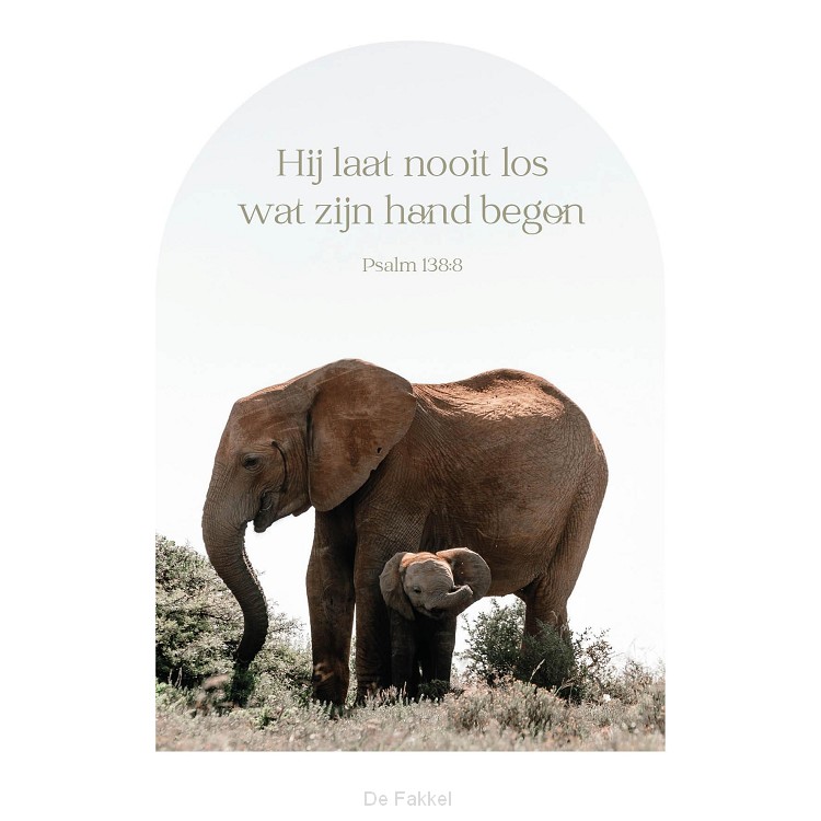 Hij laat nooit los (Olifant)