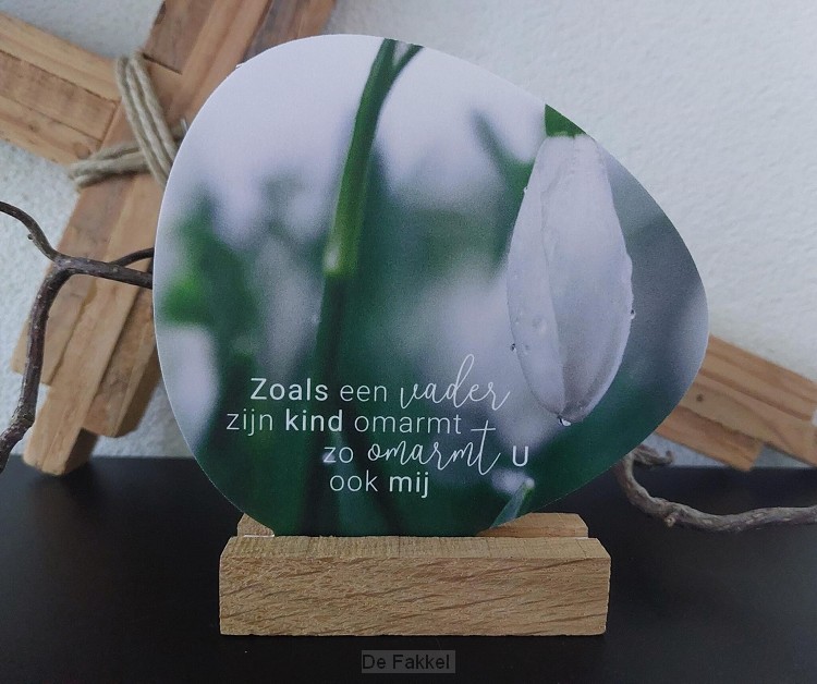 Zoals een vader zijn kind