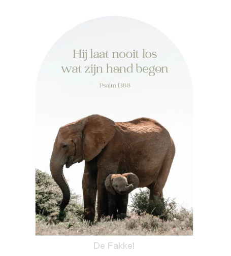 Muurvorm Hij laat nooit los