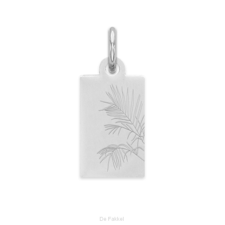 Palm