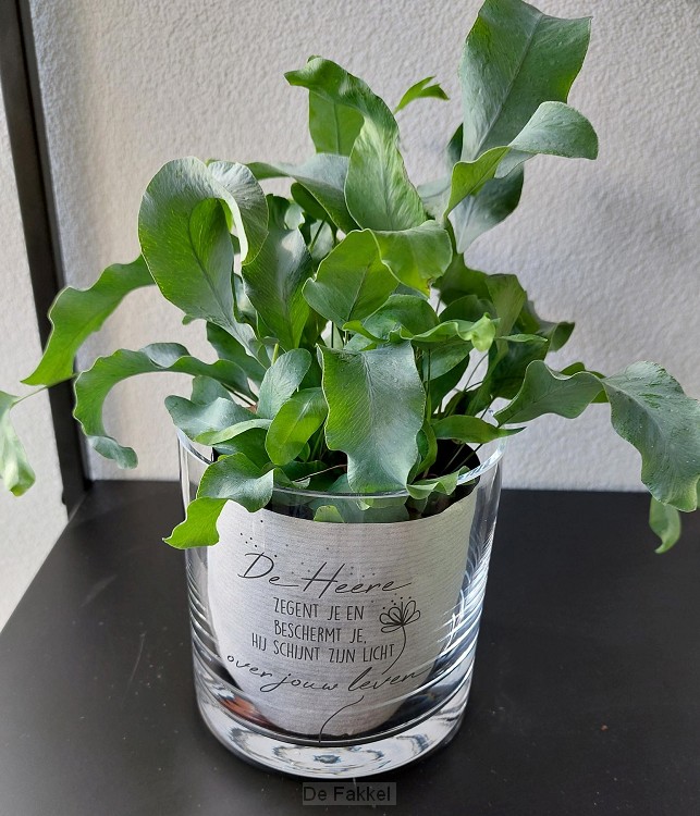 De Heere zegent je...