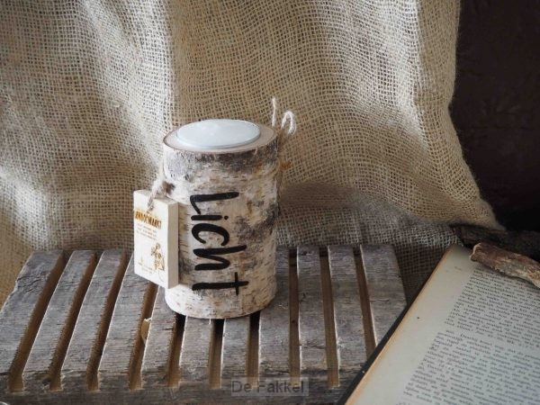 Boomstam Berk S, Licht