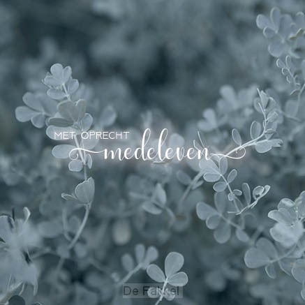 Kaart met oprechte medeleven