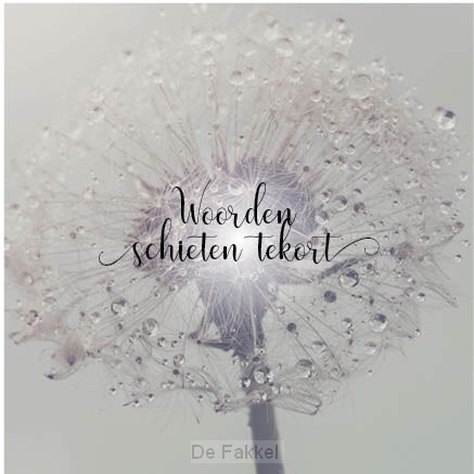 Kaart woorden schieten tekort paardenblo