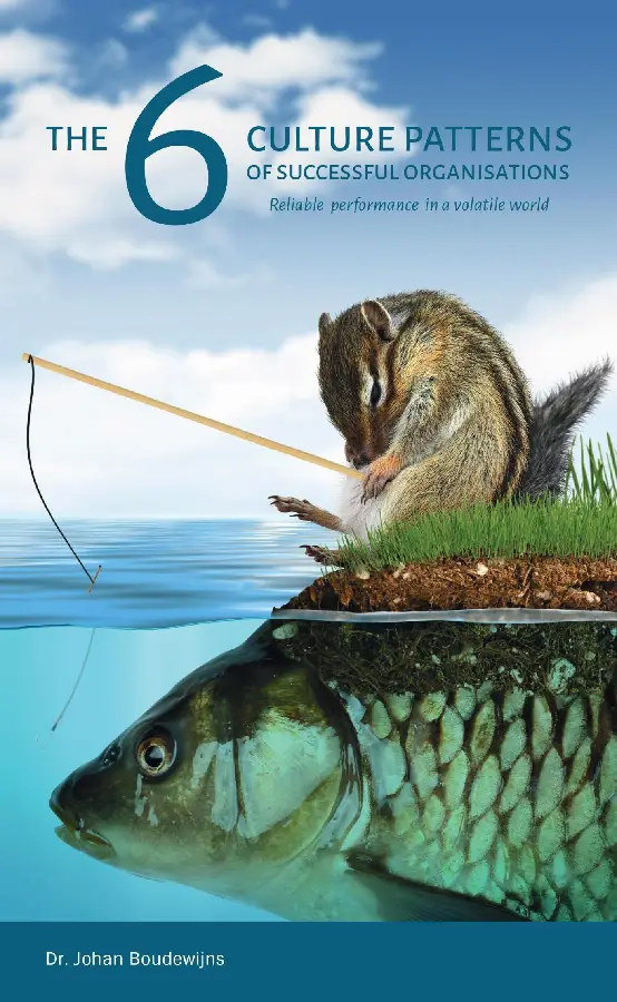 The 6 Culture Patterns of Successful Organisations