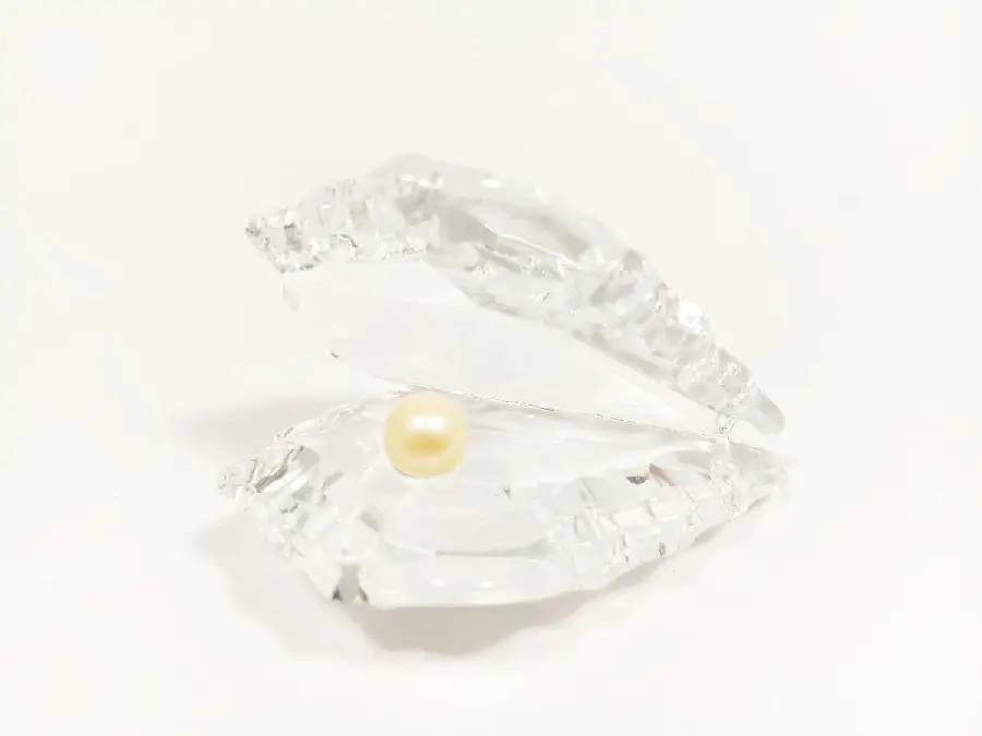 Parel in Gods hand schelp