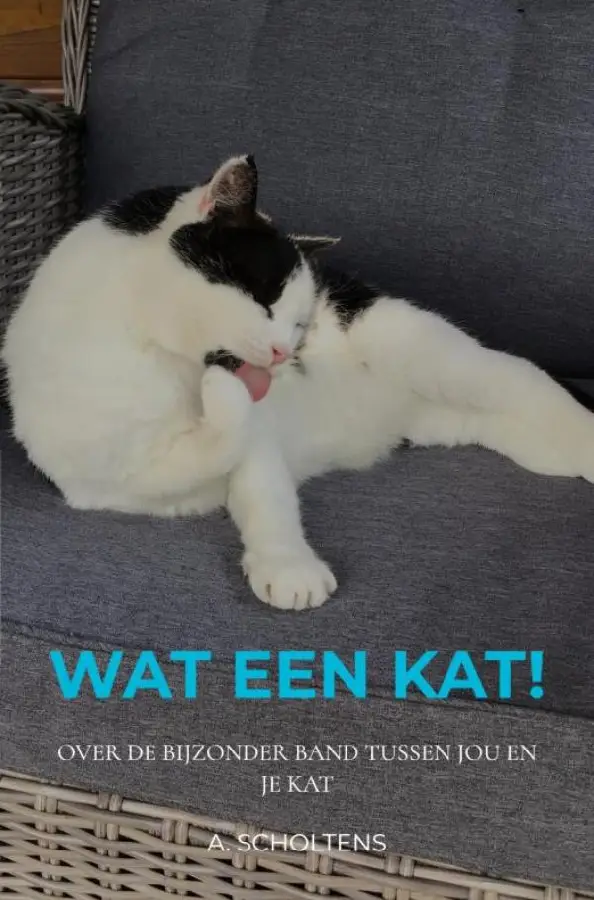 Wat een Kat!