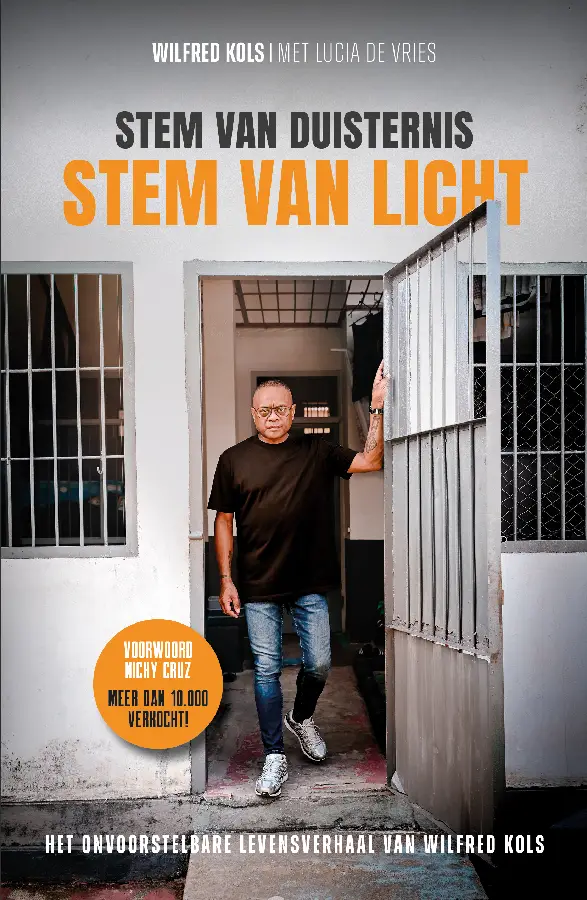 Stem van duisternis