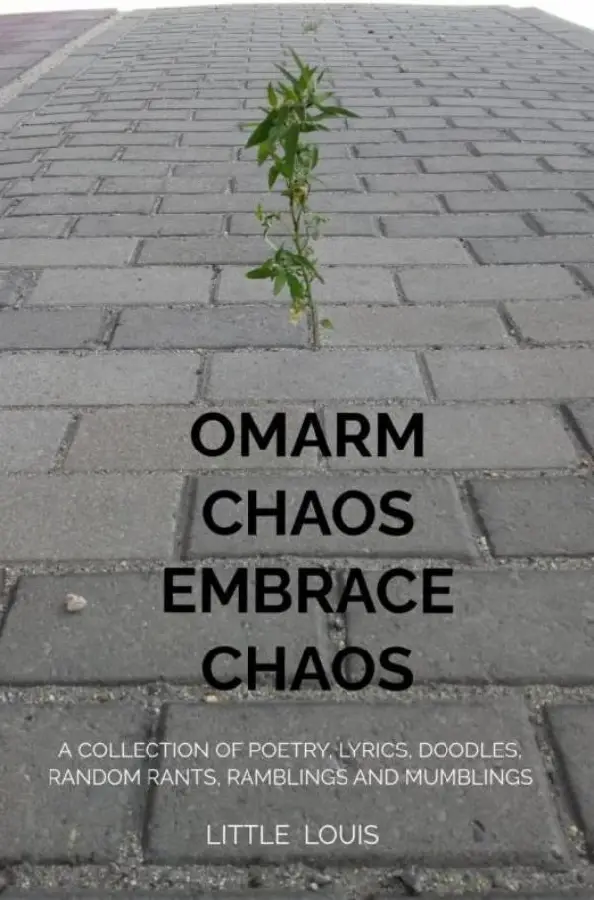 Embrace Chaos - Omarm Chaos