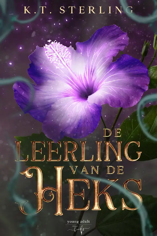 De leerling van de heks