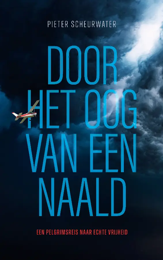 Door het oog van de naald