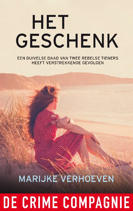 Het geschenk