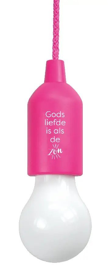 Led lamp rose Gods liefde is al de zon
