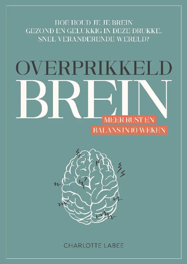 Overprikkeld brein