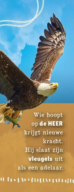 Wie hoopt op de Heer