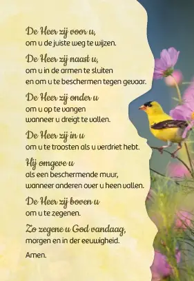 Zegen van St. Patrick