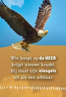 Wie hoopt op de Heer