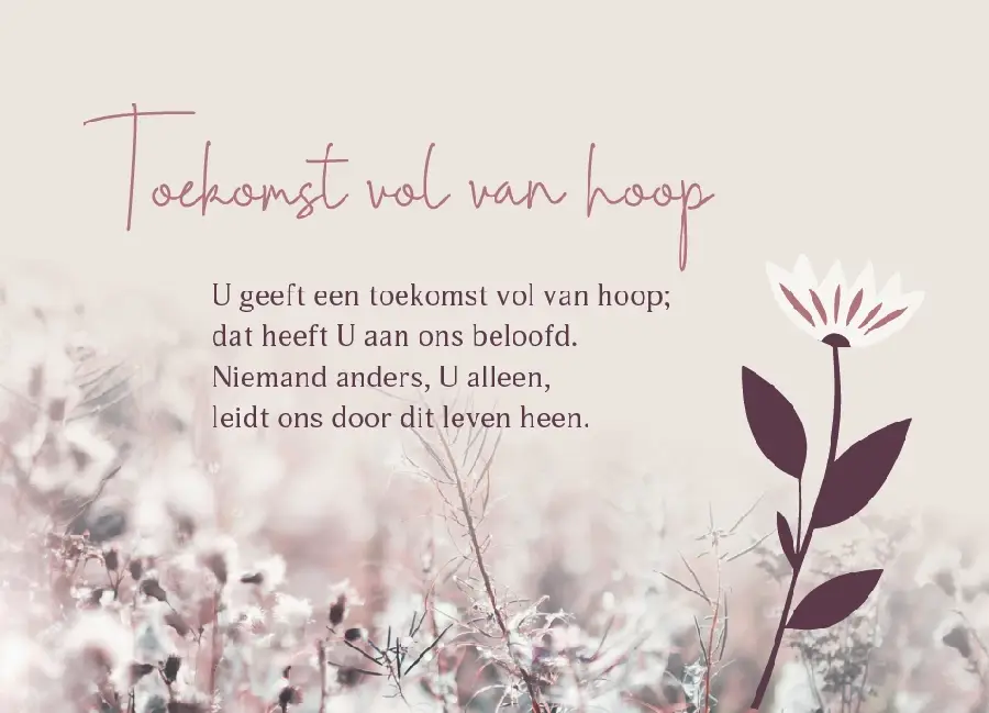 Enkele Kaart Zo is het beloofd