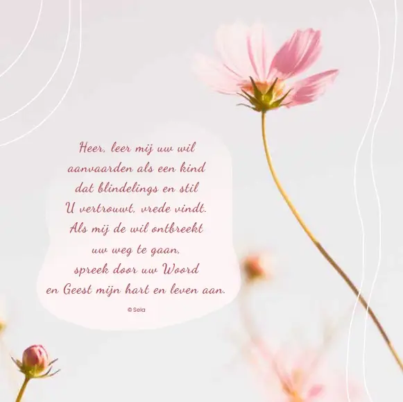 Enkele Kaart Heer, leer mij uw wil