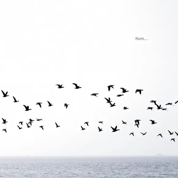 Kaart kom... en vlieg mee