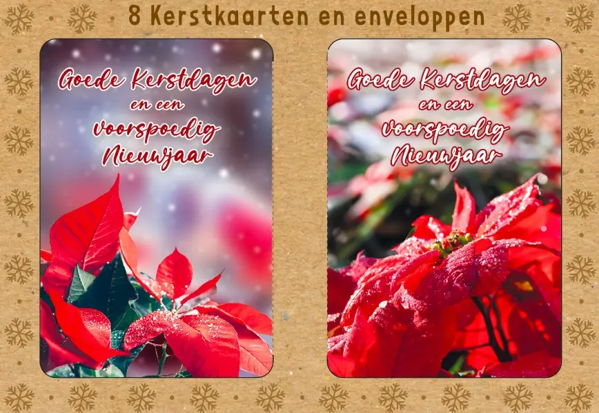 Kerstbox Goede K/N