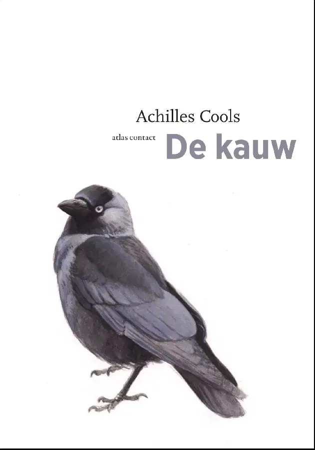 De kauw