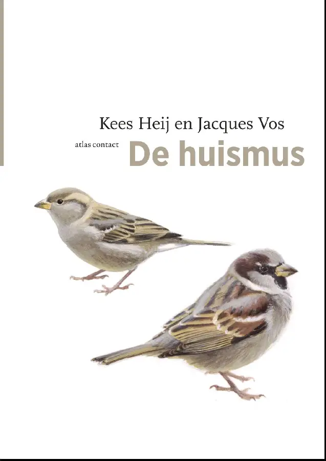 De huismus