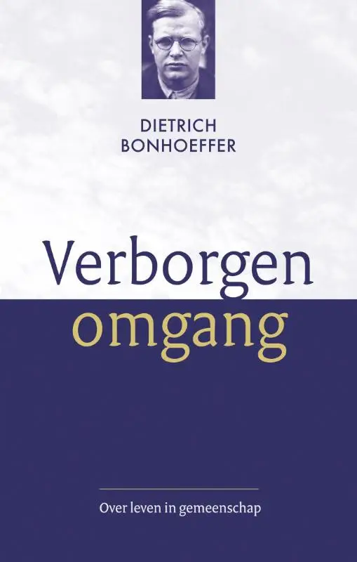 Verborgen omgang (e-book)