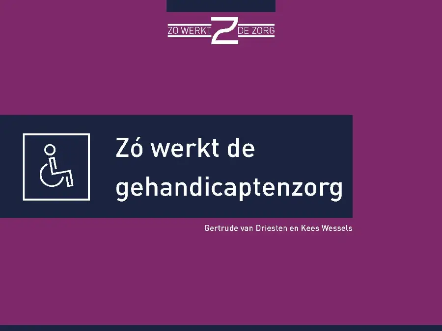 Zó werkt de gehandicaptenzorg