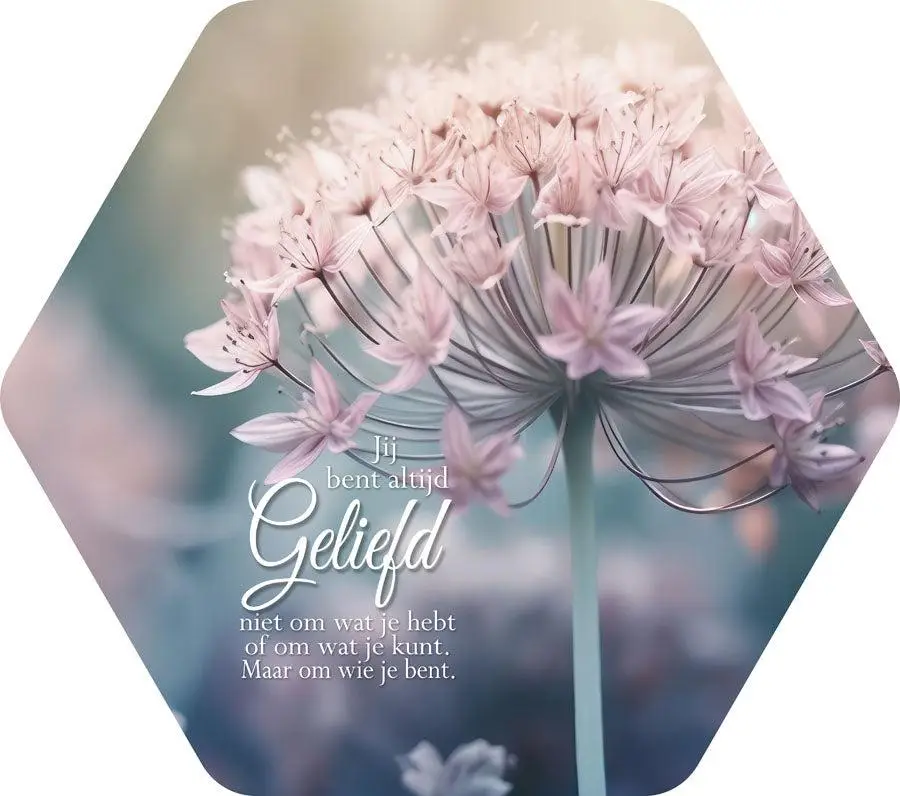 Je bent altijd geliefd