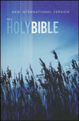 NIV outreach bible