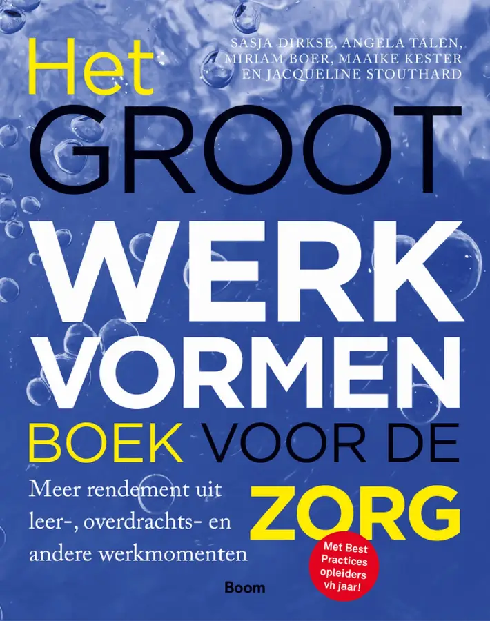Het groot werkvormenboek voor de zorg