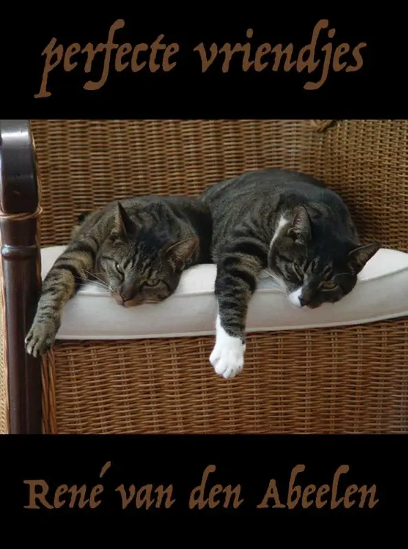Perfecte vriendjes