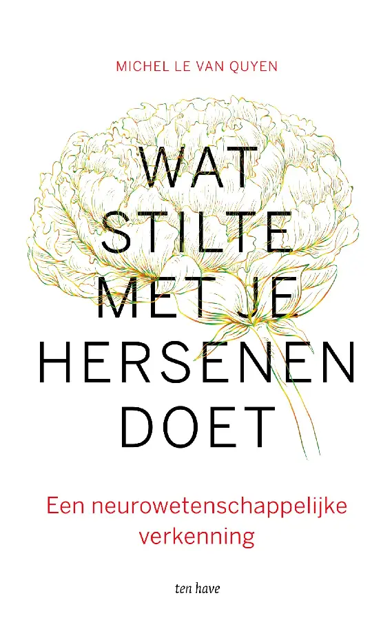 Wat stilte met je hersenen doet
